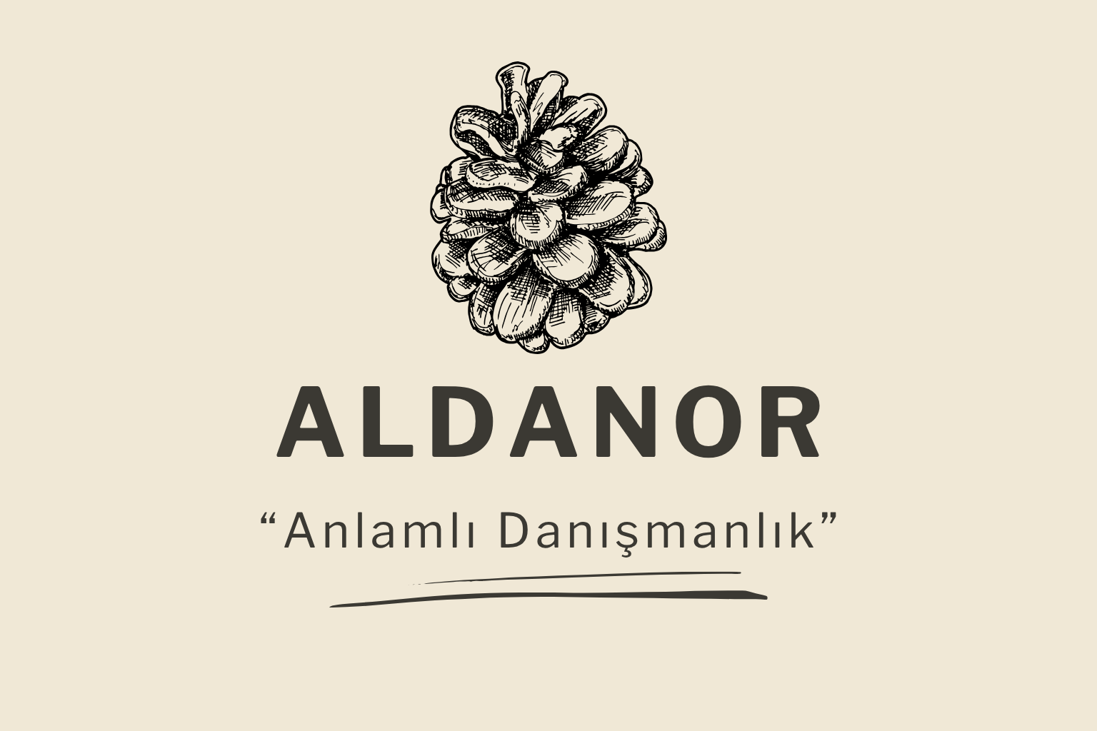 Aldanor Danışmanlık